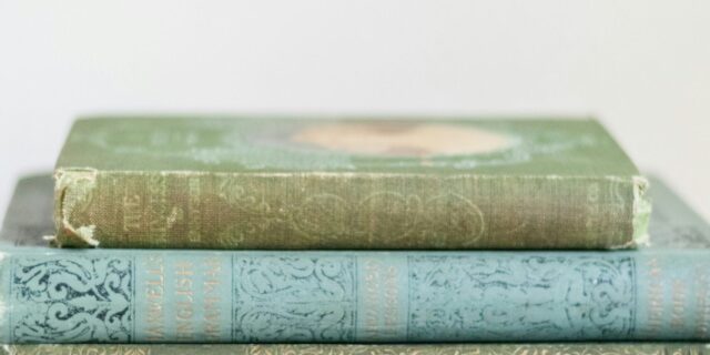 fiona-murray-degraaff-ucVQSurRUrw-unsplash